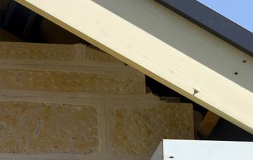 soffit repair Downies
