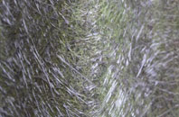 Downies fibreglass roof work